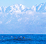 富山の海洋深層水の特徴
