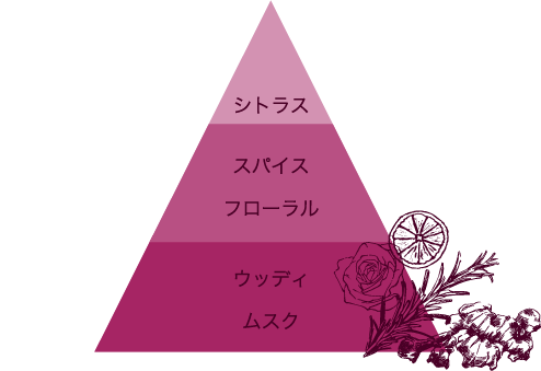 シトラス,スパイス,フローラル,ウッディ,ムスク